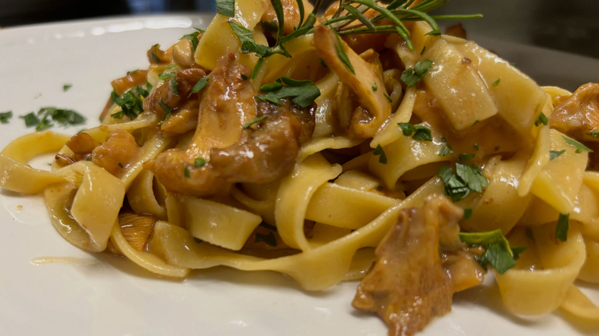 Tagliatelle pasta with chanterelle mushrooms, garnished with chopped parsley and a sprig of rosemary. - Il Leone Restaurant